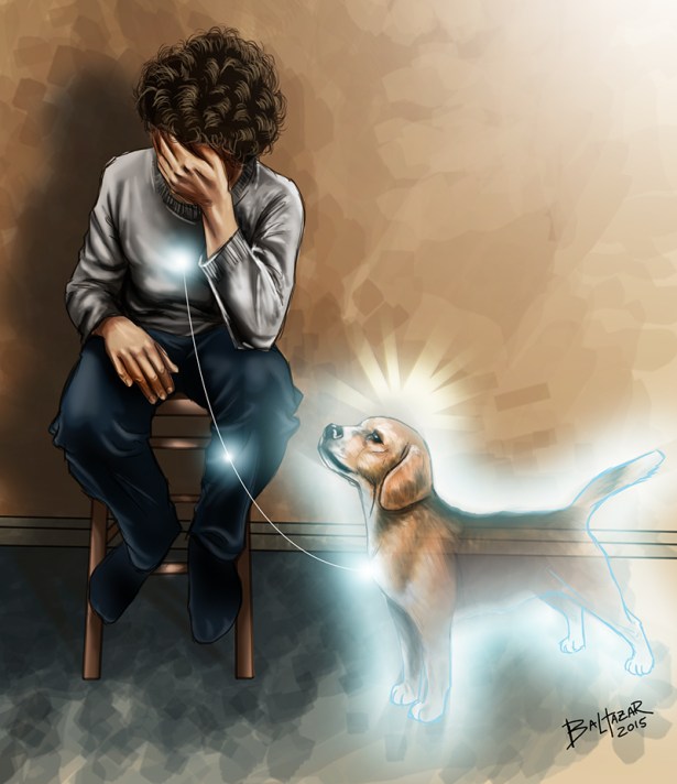 cachorro espiritismo