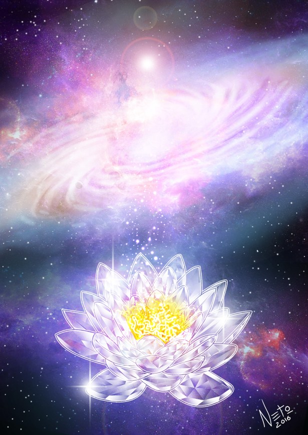 exercicio-entrega-lotus-web